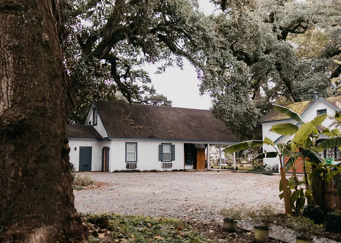 Bed and breakfast Maison Mouton 4*